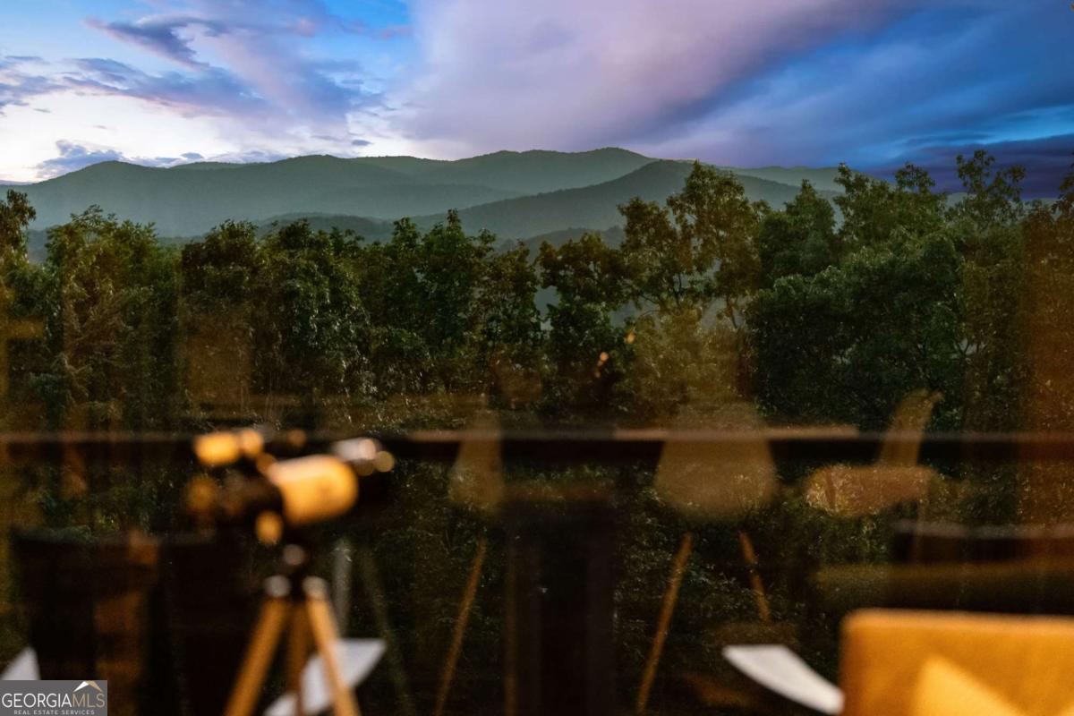 361 June Bug Lane Blue Ridge, GA 30513 - Photo 65 of 65