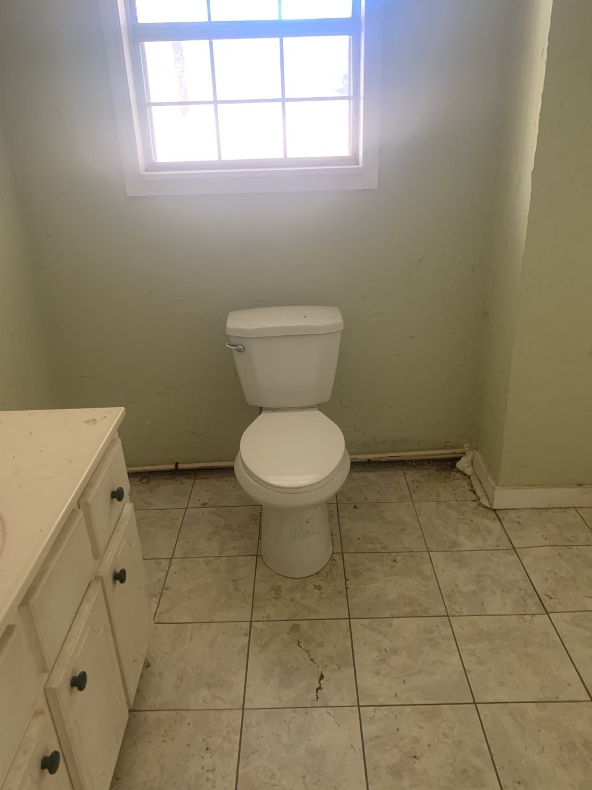 1252 Kelly Road Centerville, TN 37033 - Photo 17 of 34 a bathroom with a toilet a sink and a window
