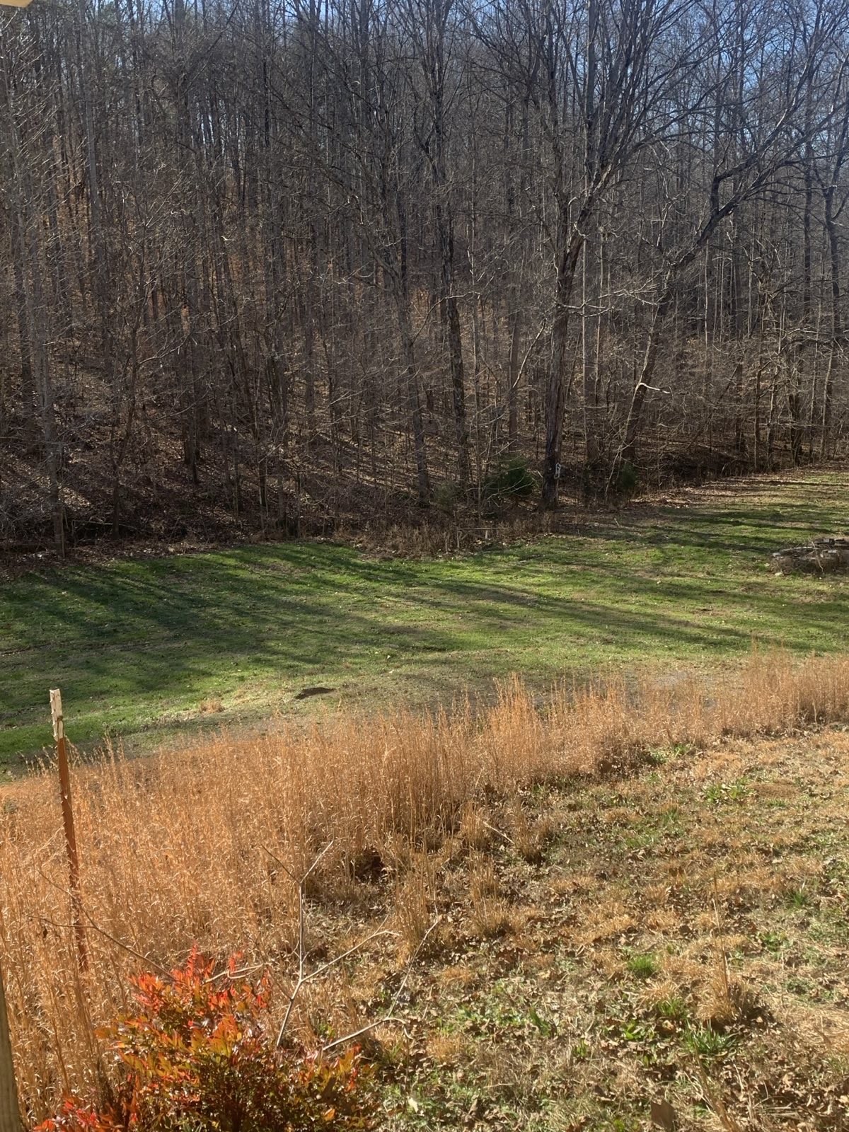 1252 Kelly Road Centerville, TN 37033 - Photo 6 of 34 a view of a lake view