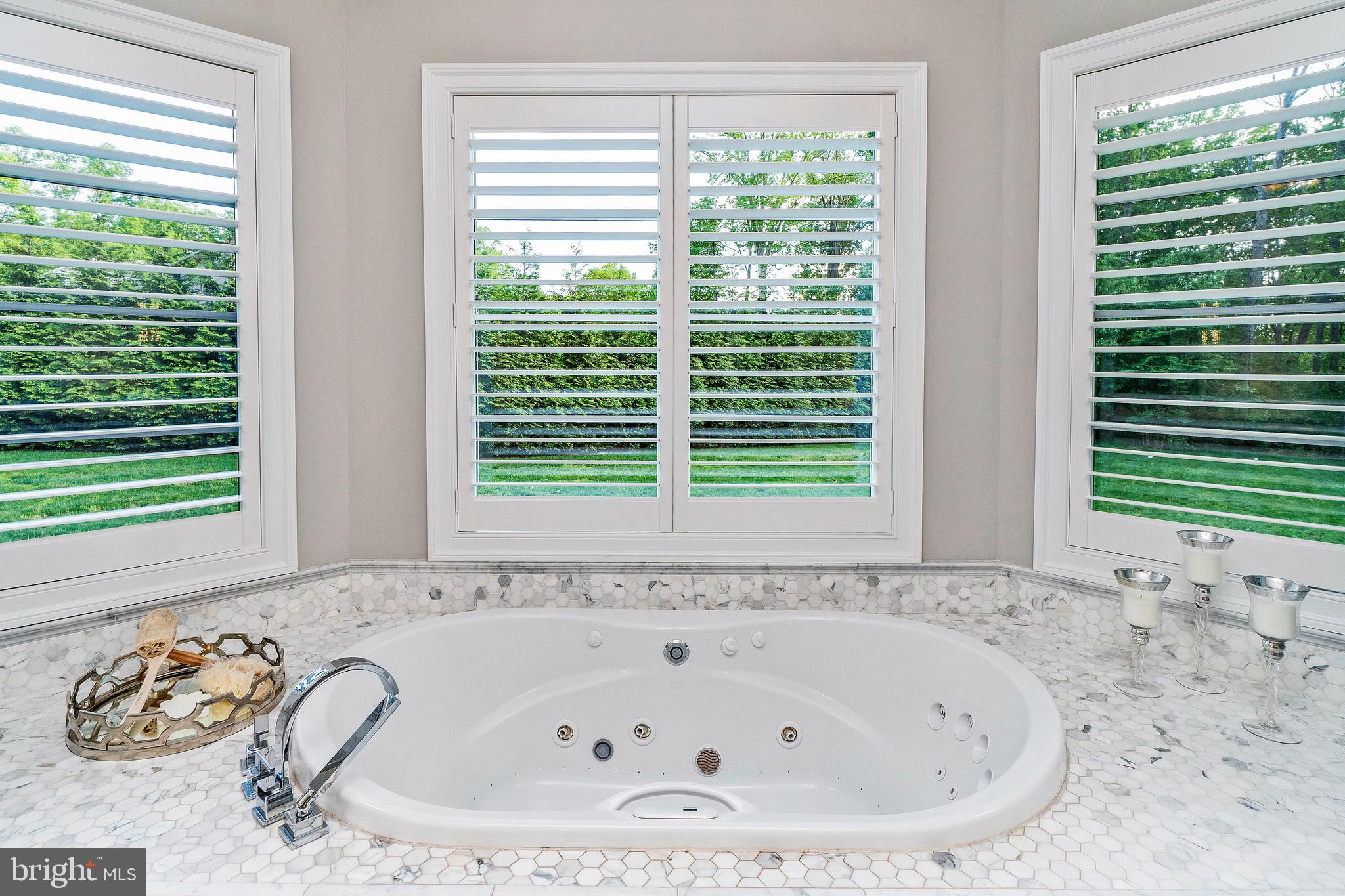 4 Spring Forest Court Owings Mills, MD 21117 - Photo 34 of 63 Gallery Image 34