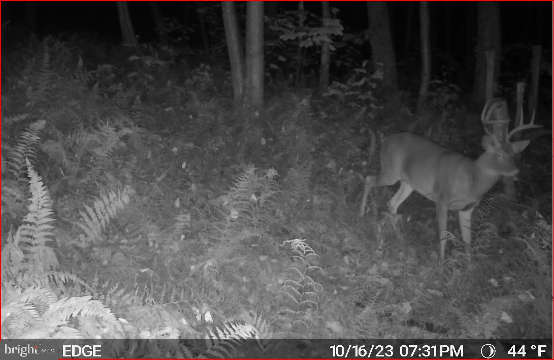 0 Carlisle Gap Road Lewistown, PA 17044 - Photo 47 of 53