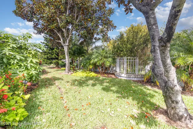 a view of yard with small trees