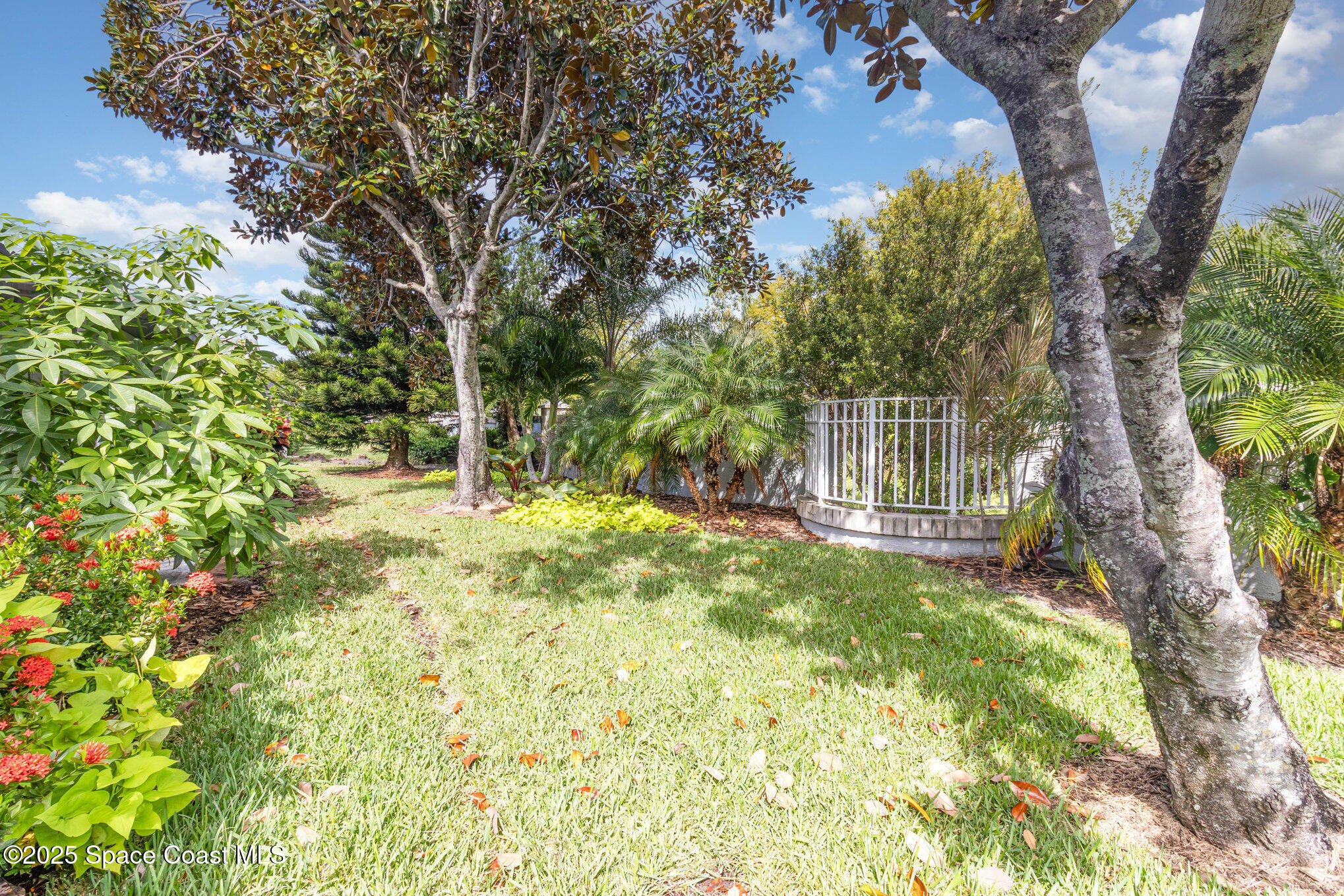 1484 Independence Avenue Melbourne, FL 32940 - Photo 18 of 30 a view of yard with small trees
