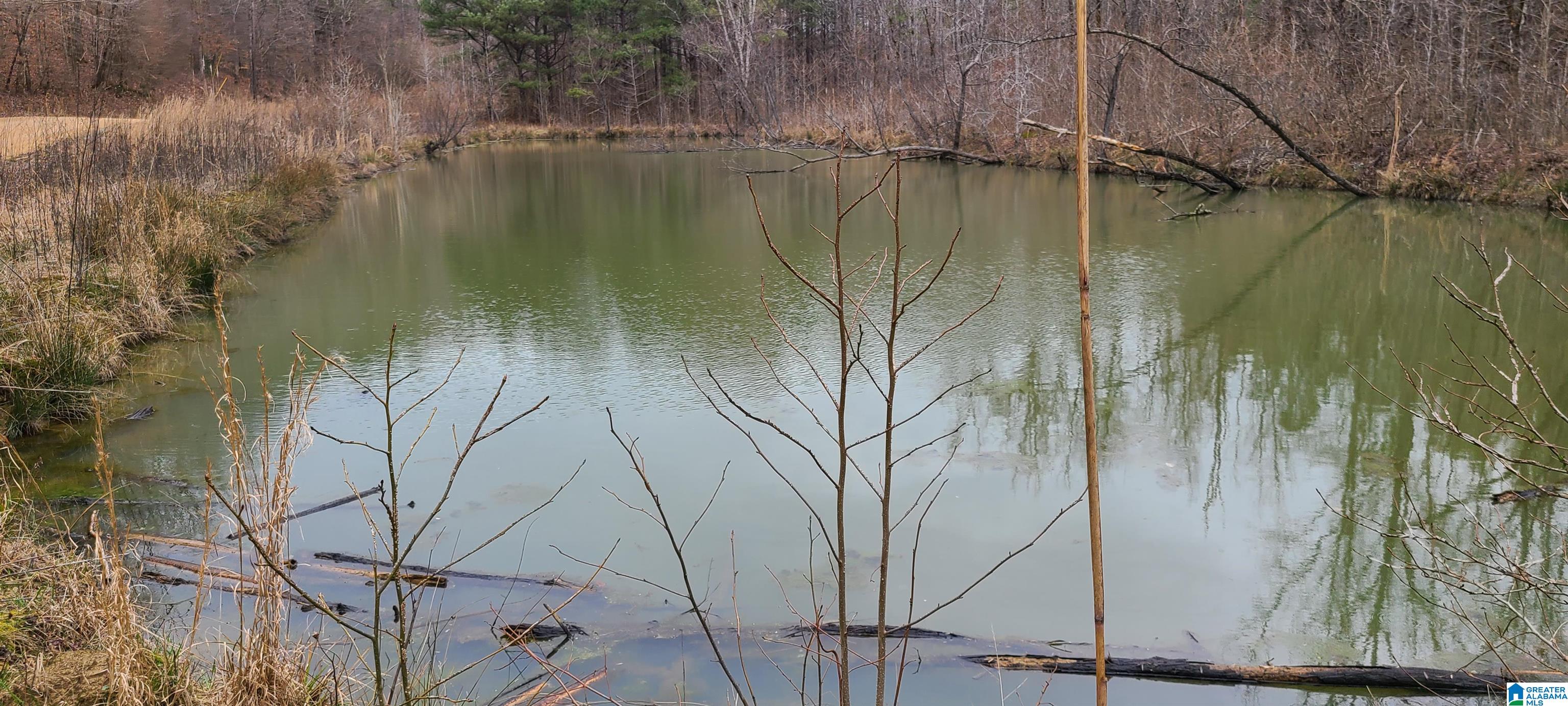 0 Wolf Creek Road Carbon Hill, AL 35549 - Photo 21 of 29