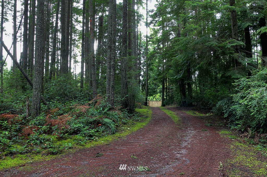 14501 Cavalli Road Southeast Olalla, WA 98359 - Photo 15 of 15 Gallery Image 15