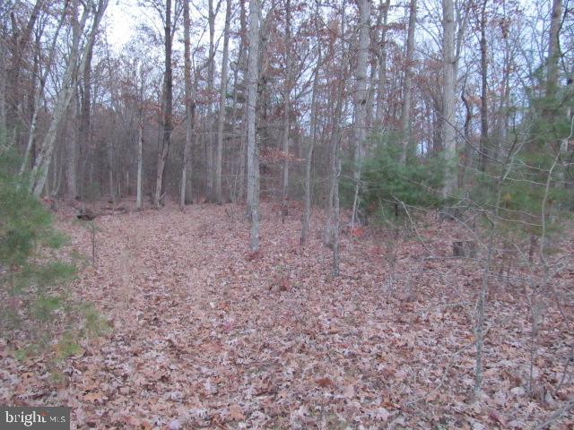 Lot H Timber Ridge Drive Front Royal, VA 22630 - Photo 1 of 9