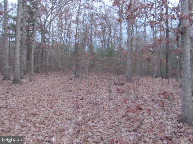 Lot H Timber Ridge Drive Front Royal, VA 22630 - Photo 2 of 9