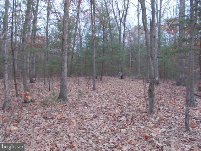 Lot H Timber Ridge Drive Front Royal, VA 22630 - Photo 3 of 9