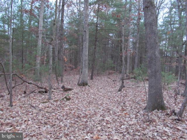 Lot H Timber Ridge Drive Front Royal, VA 22630 - Photo 4 of 9