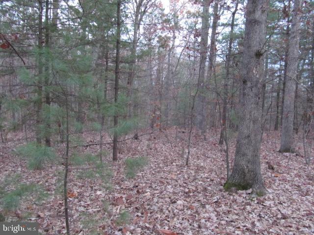 Lot H Timber Ridge Drive Front Royal, VA 22630 - Photo 5 of 9