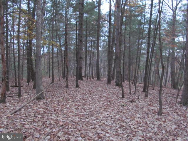 Lot H Timber Ridge Drive Front Royal, VA 22630 - Photo 6 of 9