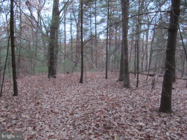 Lot H Timber Ridge Drive Front Royal, VA 22630 - Photo 7 of 9