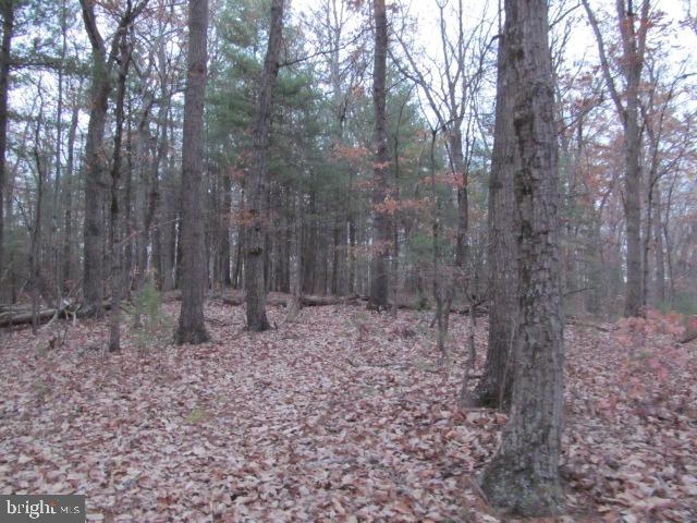 Lot H Timber Ridge Drive Front Royal, VA 22630 - Photo 8 of 9