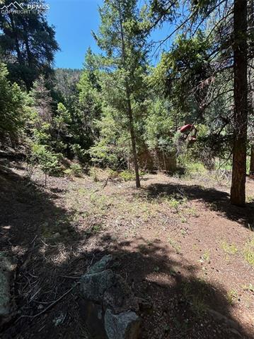 9465 Ute Road Cascade, CO 80809 - Photo 3 of 5