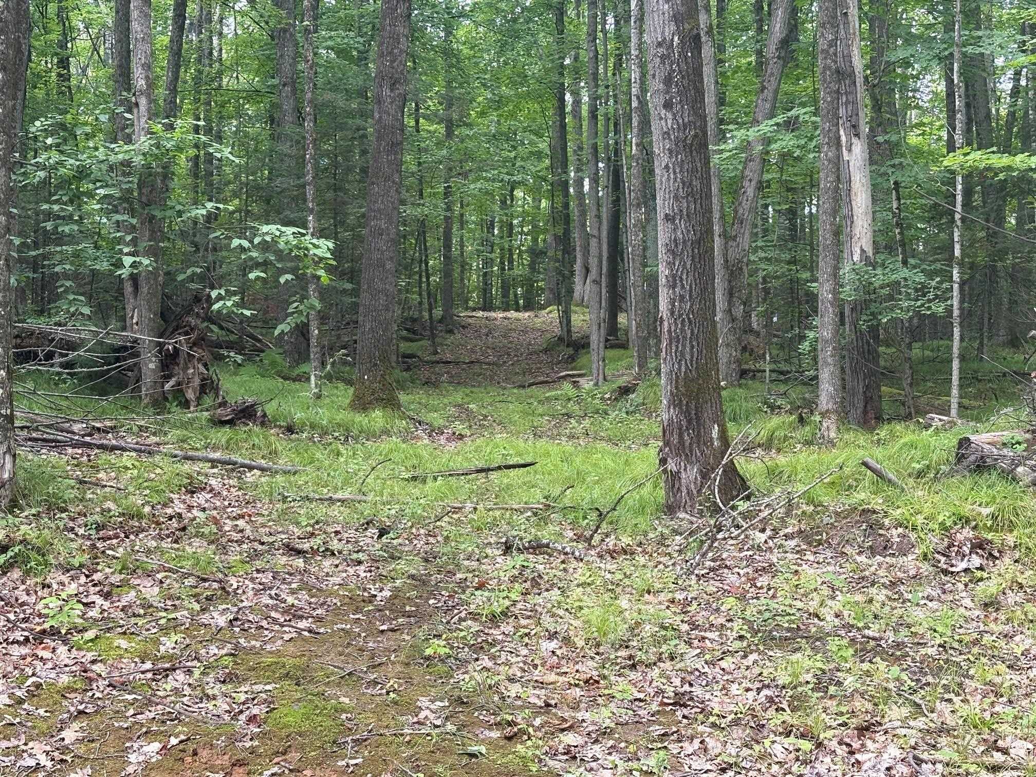 W15795 Fawn Acres Road Fence, WI 54120 - Photo 10 of 22 Gallery Image 10