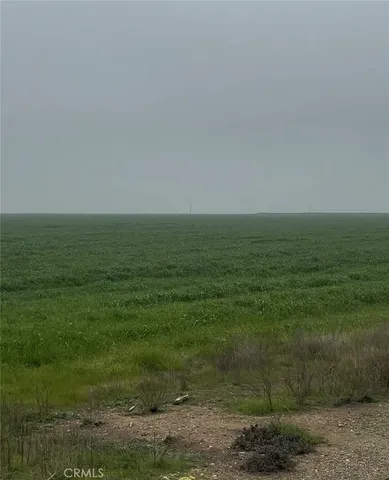 a view of a field with an ocean