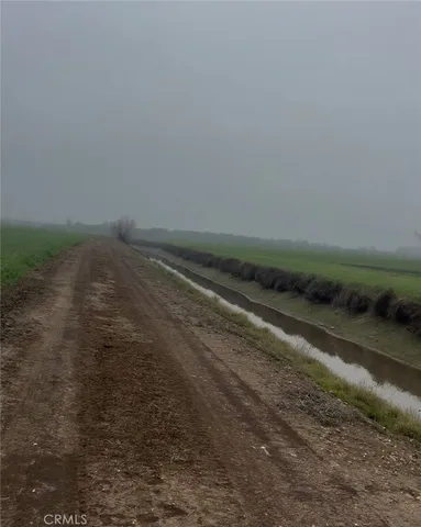 a view of a dry yard with wooden floor