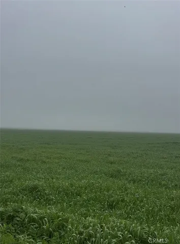 a view of yard with ocean