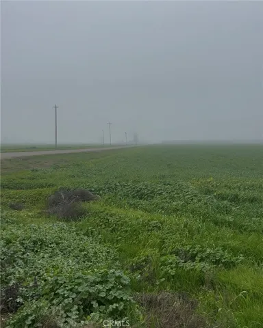 a view of an outdoor space and a yard