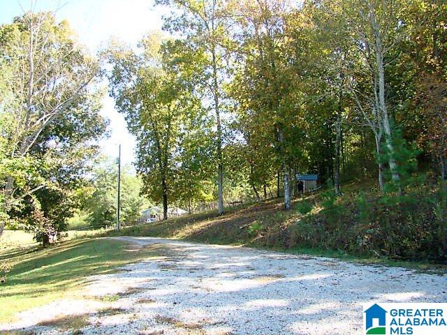 889 Hunter Road Ohatchee, AL 36271 - Photo 28 of 44