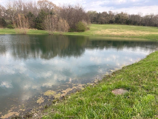 1380 Haley Road Watertown, TN 37184 - Photo 95 of 95 a view of a lake with a yard