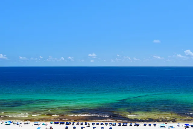 a view of a field with an ocean