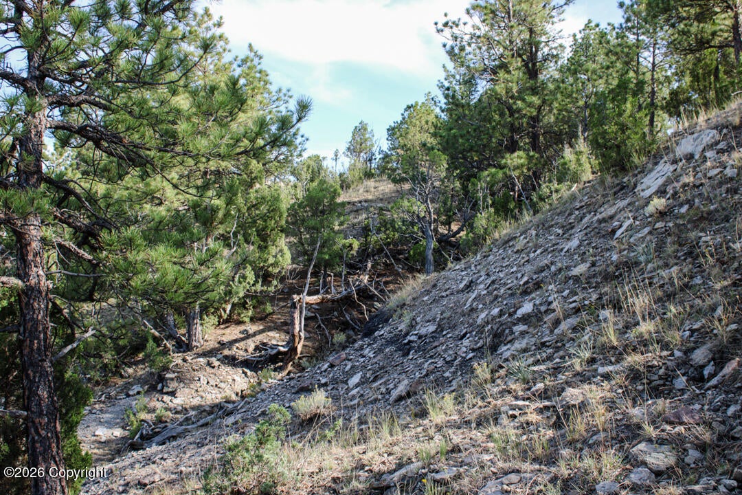 0 Skull Creek Road Osage, WY 82723 - Photo 39 of 51 Gallery Image 39