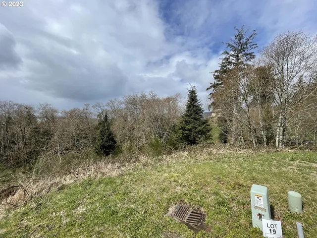 a view of a bunch of trees and bushes