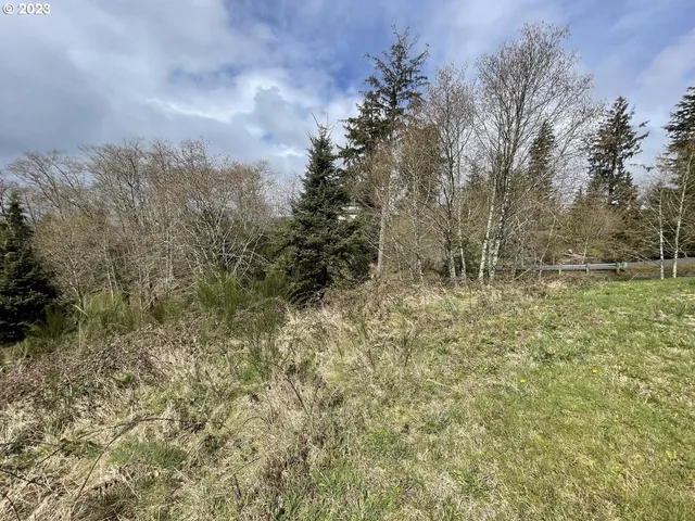 a view of backyard with green space