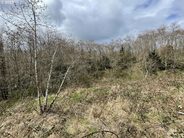 $24,900 | 19 North Ridge Drive, Bay City, OR 97107