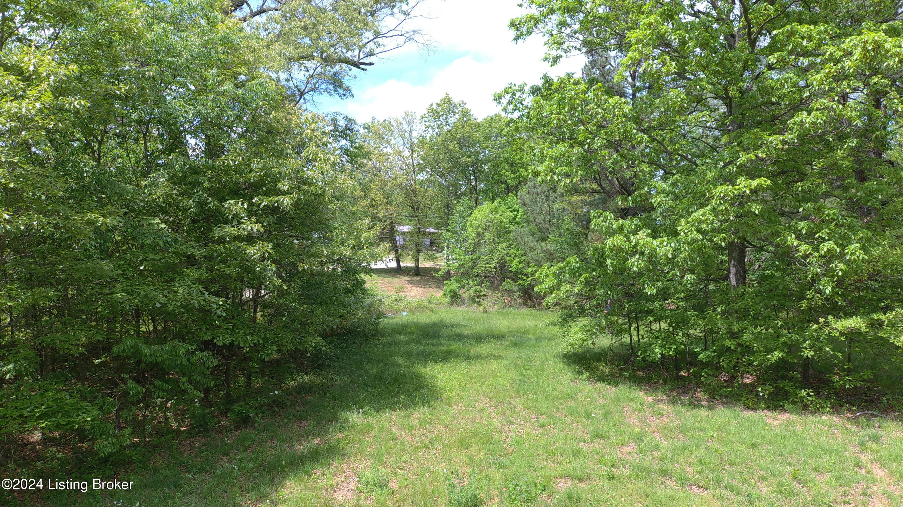 0 Eastview Road Cecilia, KY 42724 - Photo 12 of 35 MAX_0075