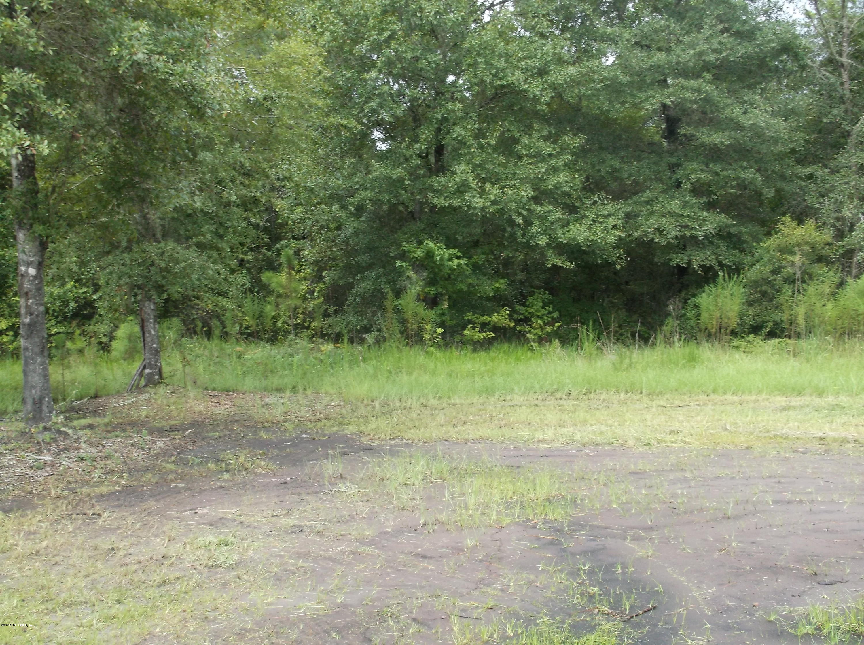5697 Carter Spencer Road Middleburg, FL 32068 - Photo 3 of 11 Side Yard View