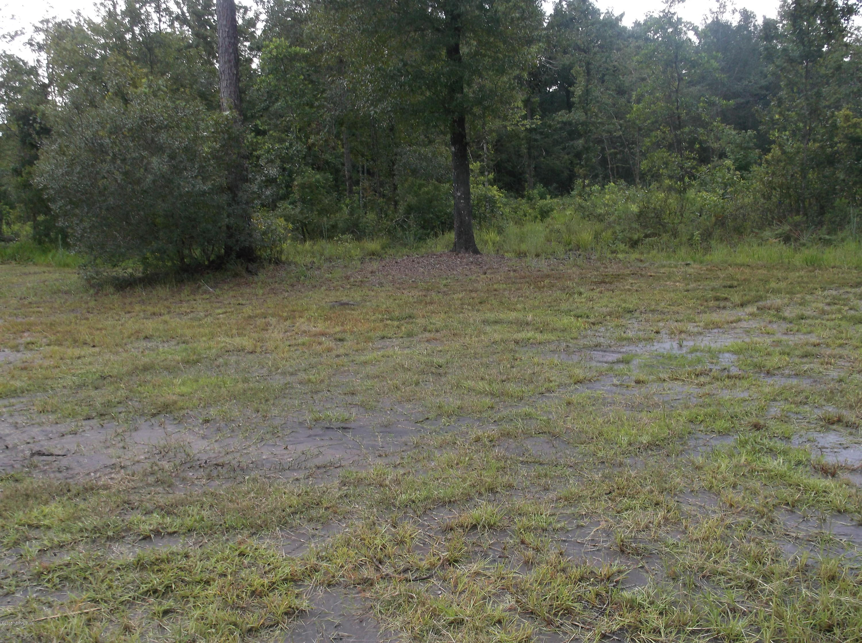 5697 Carter Spencer Road Middleburg, FL 32068 - Photo 4 of 11 Back Yard View