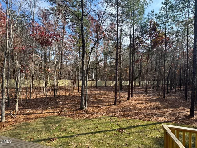 a view of a yard with trees