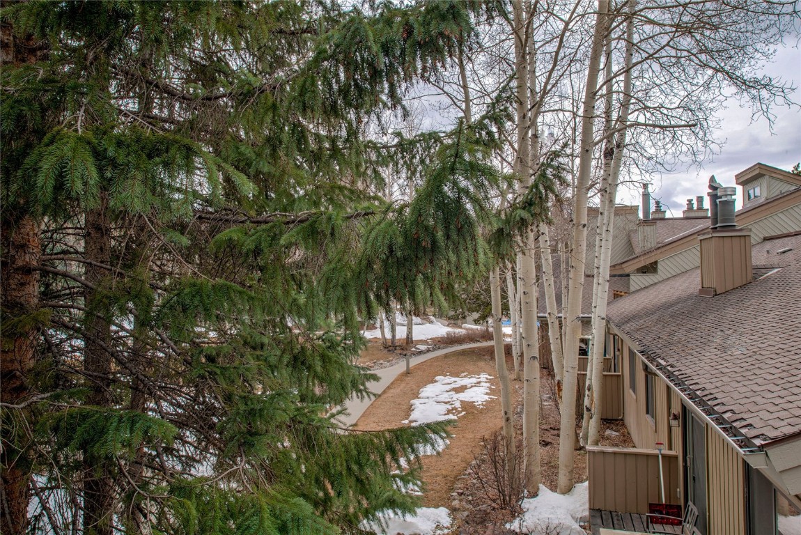 1977 Soda Ridge Road, Unit 1199 Keystone, CO 80435 - Photo 20 of 35 a view of a backyard