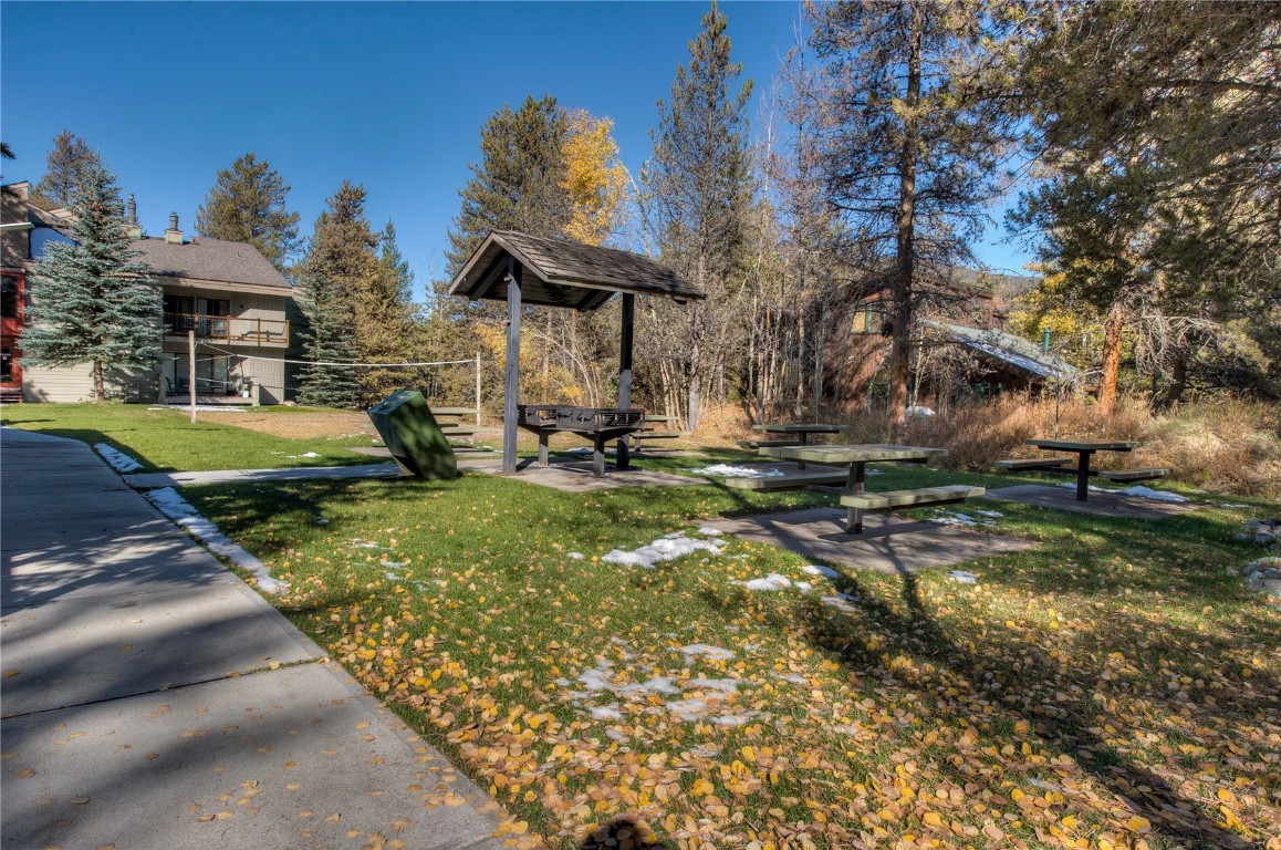 1977 Soda Ridge Road, Unit 1199 Keystone, CO 80435 - Photo 26 of 35 a backyard of a house with barbeque oven table and chairs