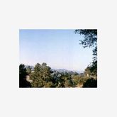 a balcony with a bench and a plant