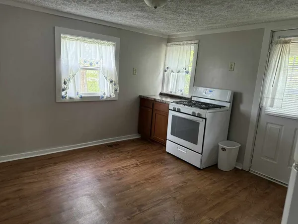 an empty room with windows dryer and fireplace