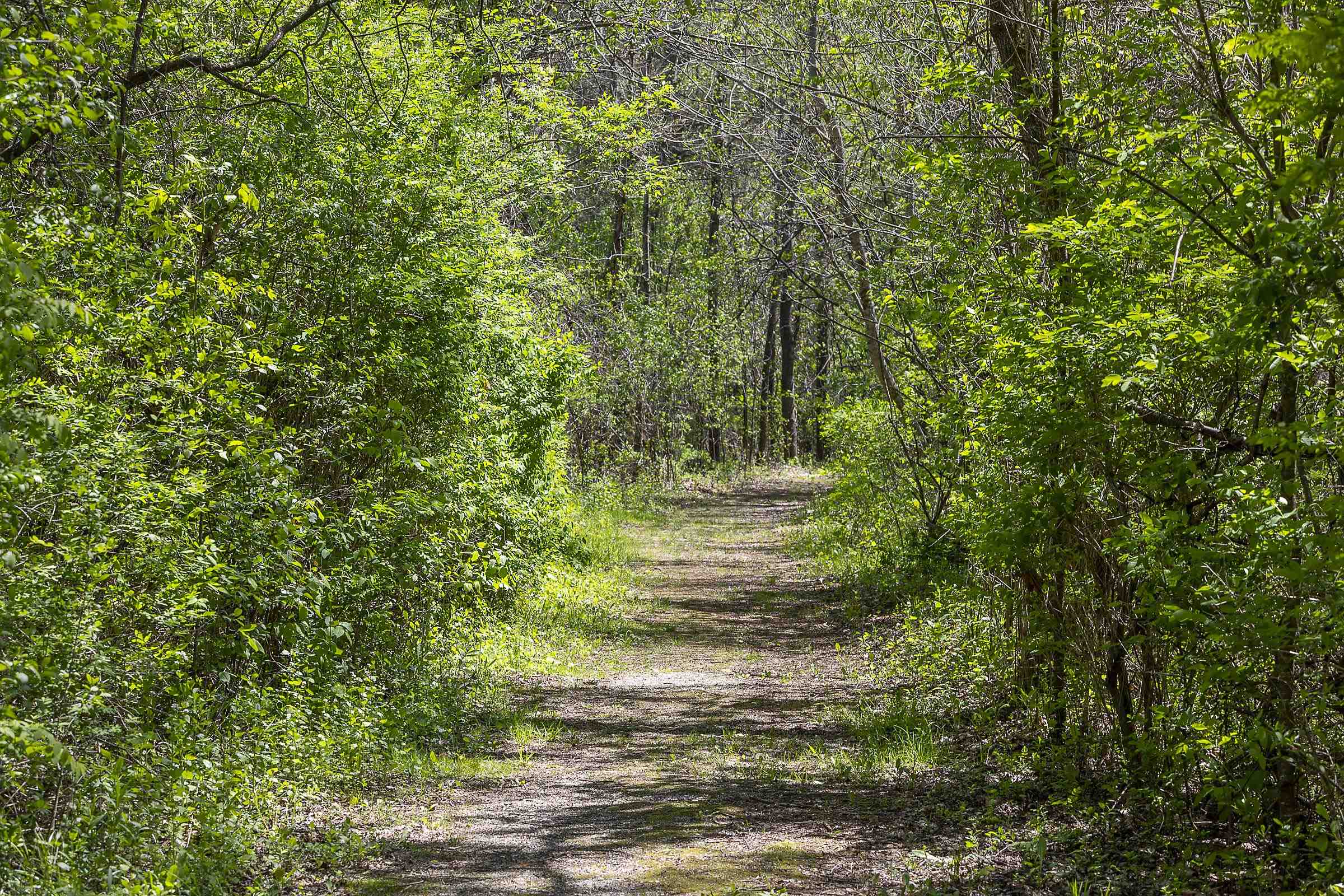 384 Riverbend Drive Manchester, VT 05254 - Photo 59 of 60