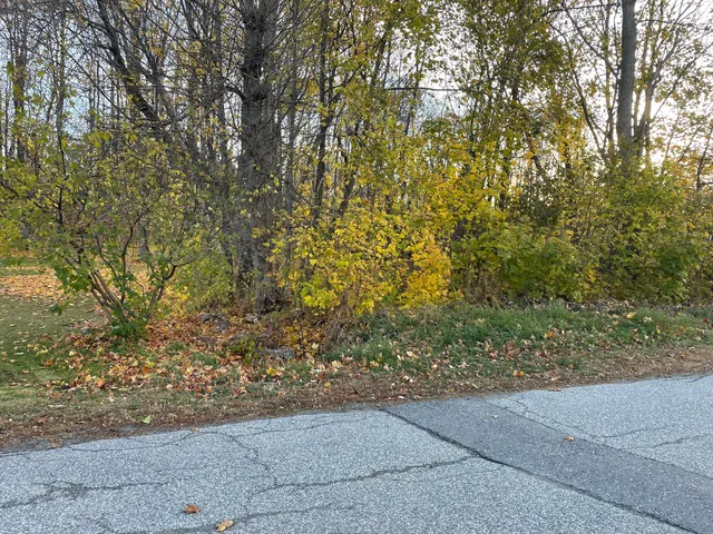 $25,000 | Lot 43 Bates Street, Pittsfield, ME 04967