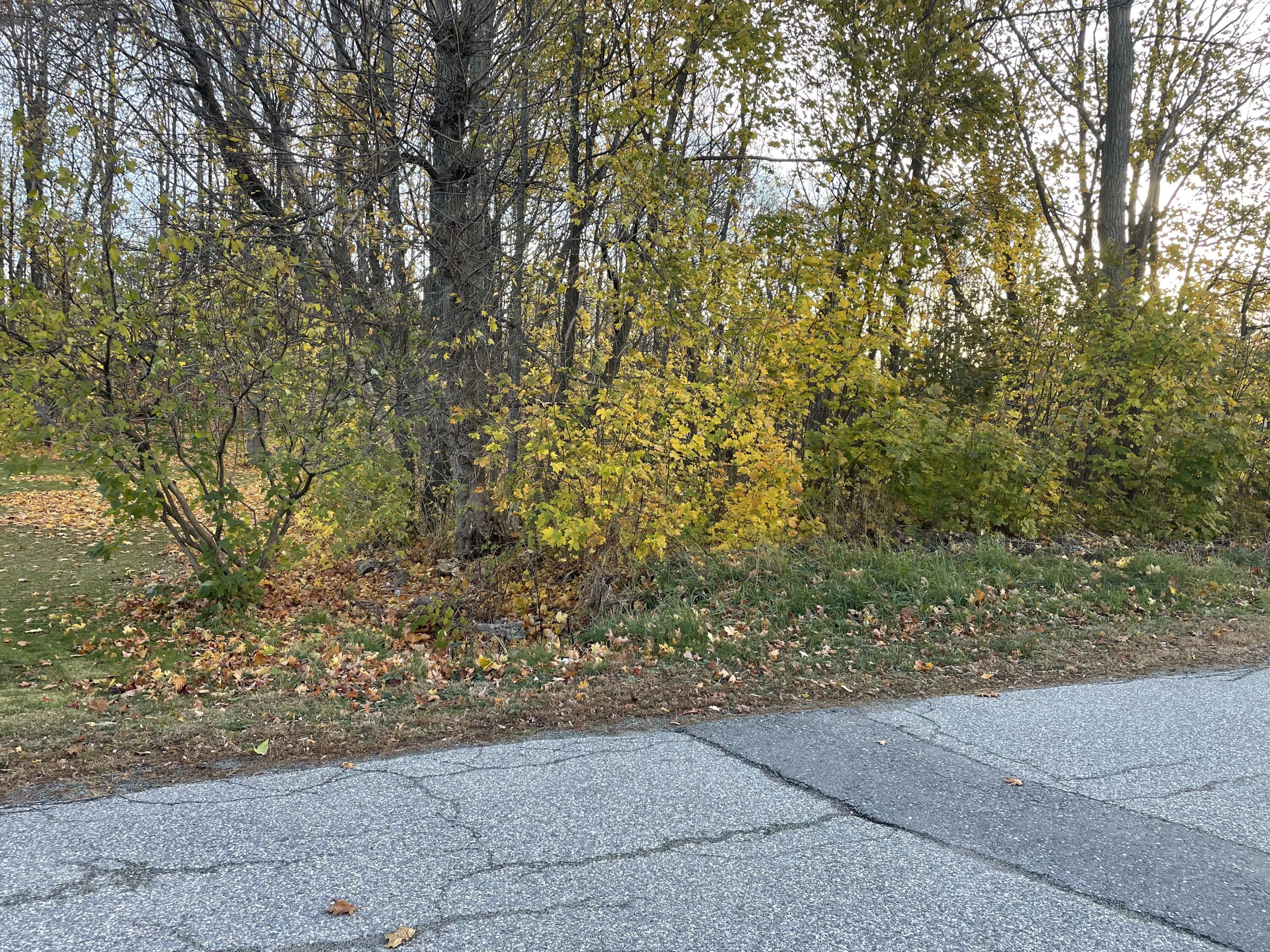 Lot 43 Bates Street Pittsfield, ME 04967 - Photo 2 of 2 Bates street pic two
