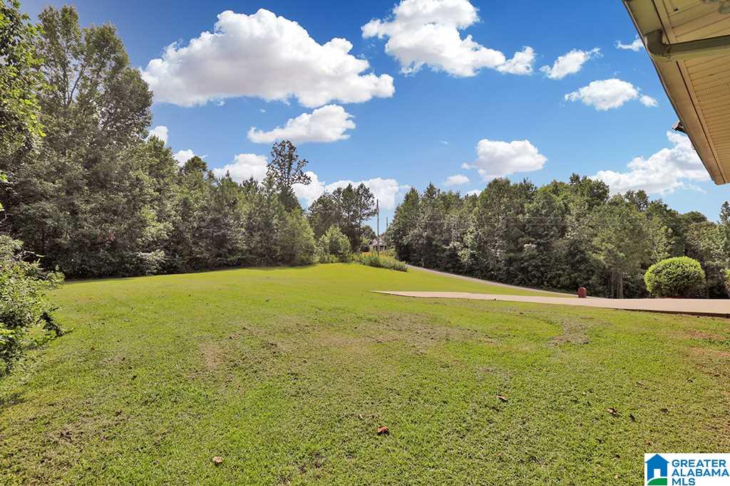 420 Doc's Drive Dora, AL 35062 - Photo 15 of 16