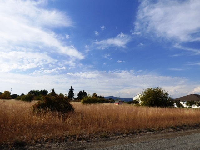 0 North Simpson Road Otis Orchards, WA 99027 - Photo 6 of 6 Gallery Image 6