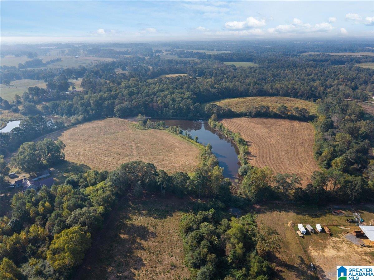 21 County Road, Unit 2 00 Horton, AL 35980 - Photo 14 of 17