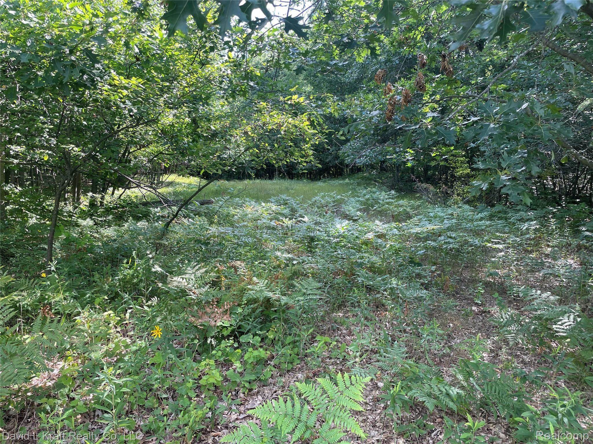 7533 Port Austin Road Caseville, MI 48725 - Photo 3 of 7 7533PortAustin2.JPG