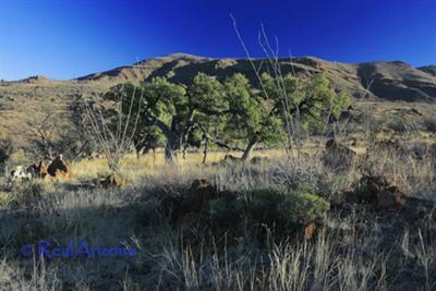 0 Grosvenor Way Rio Rico, AZ 85648 - Photo 5 of 10