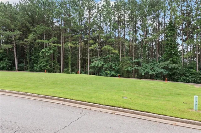 a view of a field with a trees in the background