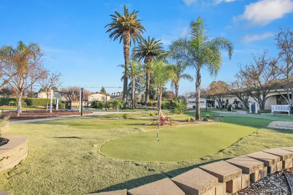 a view of a swimming pool with a lawn chairs under palm trees