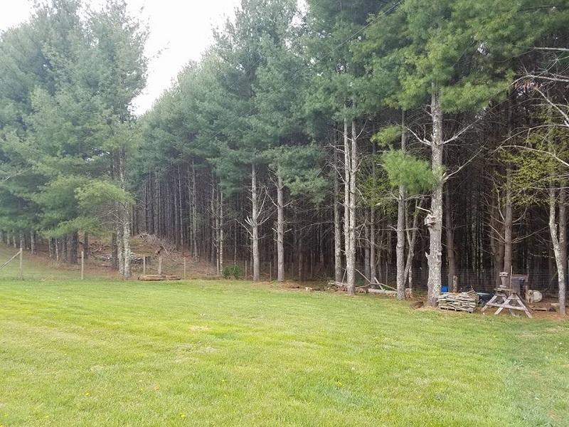 689 Gambetta Road Galax, VA 24333 - Photo 7 of 7 yard1