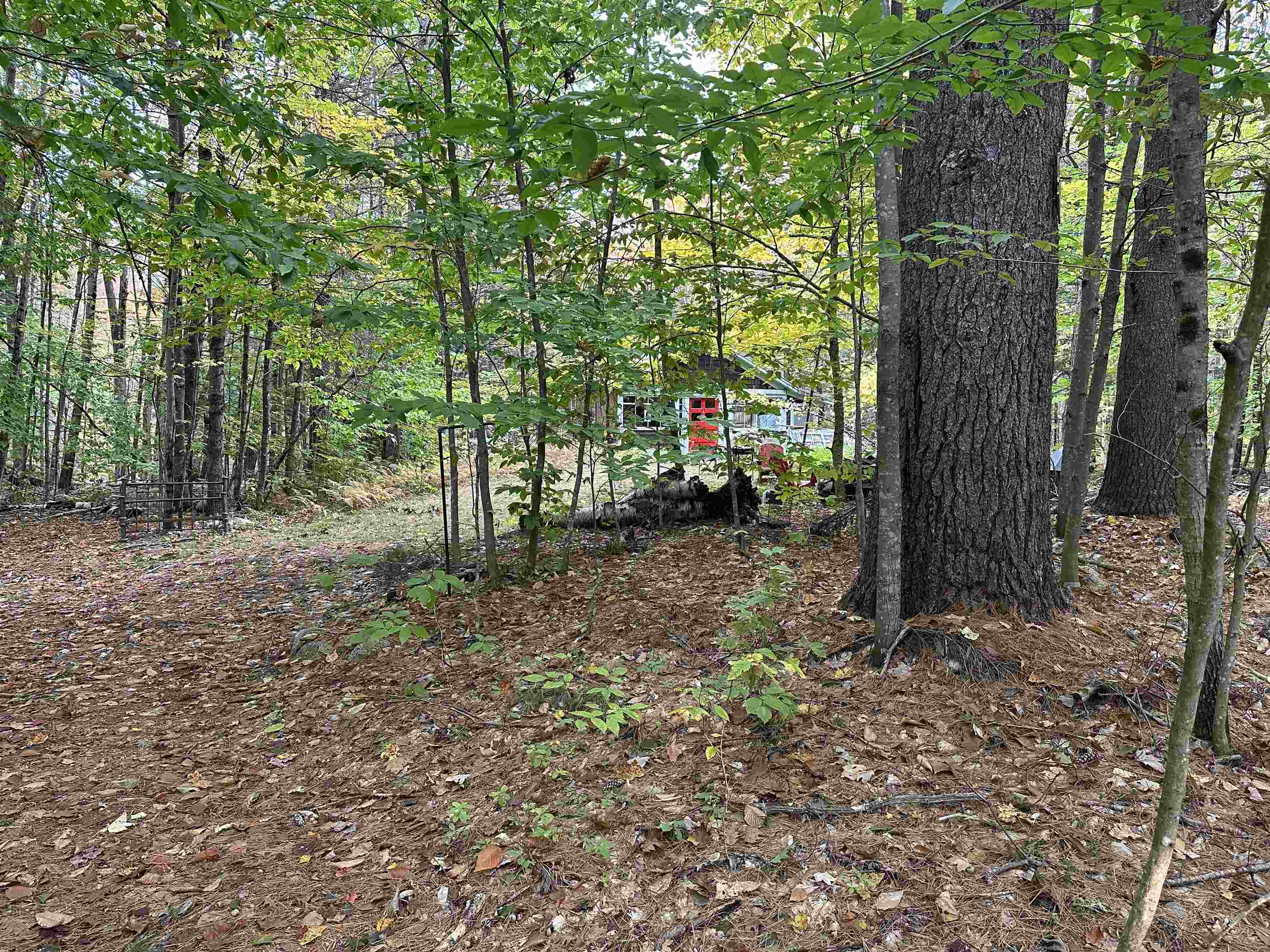 87 Juniper Ledge Road Chocorua, NH 03817 - Photo 1 of 5 Gallery Image 1